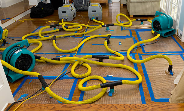 Professional Water Damage Repair technician working in Mentone, IN