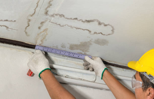 Affordable Water Damage Repair solutions in Mentone, IN